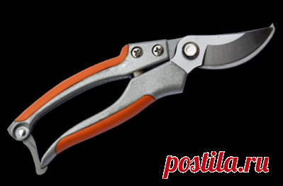 Купить Секатор садовый Bradas V-SERIES, KT-V5 Секаторы Сучкорезы Ножницы