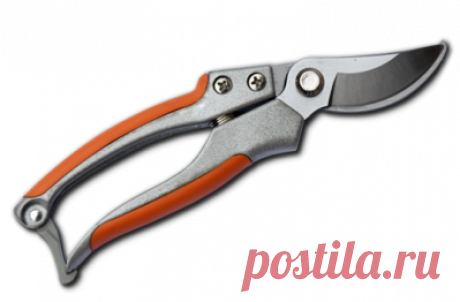 Купить Секатор садовый Bradas V-SERIES, KT-V5 Секаторы Сучкорезы Ножницы