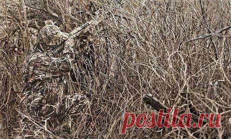 (10) Одноклассники