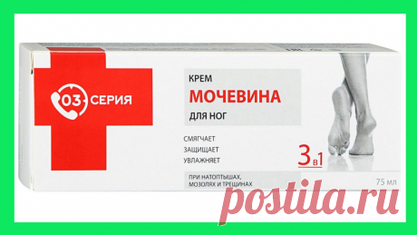 Что помогает ножкам всегда быть нежными и мягкими: как летом быстро привести ноги в порядок
Рада приветствовать вас, читатели канала. На моем канале уже шла речь о...
Читай пост далее на сайте. Жми ⏫ссылку выше