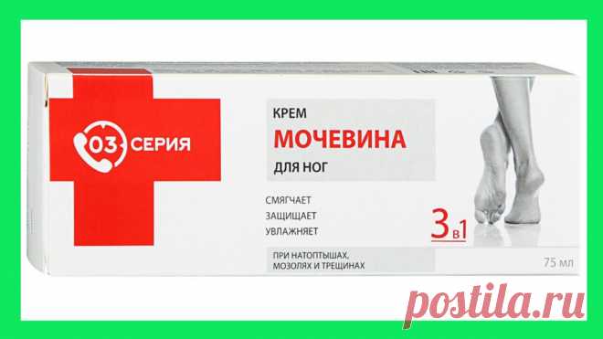 Что помогает ножкам всегда быть нежными и мягкими: как летом быстро привести ноги в порядок
Рада приветствовать вас, читатели канала. На моем канале уже шла речь о...
Читай пост далее на сайте. Жми ⏫ссылку выше