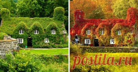 Как осень перевоплощает все вокруг. 12 красивейших фотографий ДО и ПОСЛЕ. Глаз не отвести! Помимо похолодания, шарфов и вкусных осенних фруктов и овощей, меняющиеся листья, вероятно, являются самым большим признаком осени, который есть. Не останавливаясь, чтобы осмотреться, мы пропускаем переход с лета...