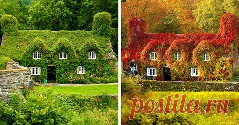 Как осень перевоплощает все вокруг. 12 красивейших фотографий ДО и ПОСЛЕ. Глаз не отвести! Помимо похолодания, шарфов и вкусных осенних фруктов и овощей, меняющиеся листья, вероятно, являются самым большим признаком осени, который есть. Не останавливаясь, чтобы осмотреться, мы пропускаем переход с лета...