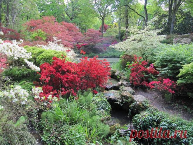 Великобритания,графство Хэмпшир:Сады Эксбери!