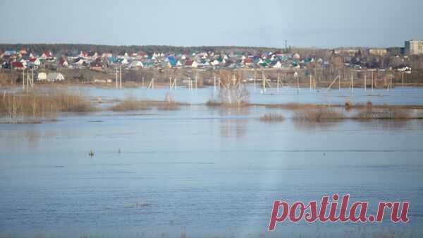 В Кургане в ближайшие дни ожидают пик весеннего половодья