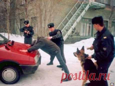 Чита. Полицейские задержали банду, грабившую кредитные офисы и сотовые салоны - 12 Октября 2015 - Russia-Asia-Siberia