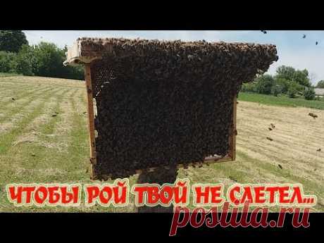 🔴ЧТОБЫ РОЙ ТВОЙ НЕ СЛЕТЕЛ - ПОСМОТРИ! ЗАПОМНИ! СДЕЛАЙ!