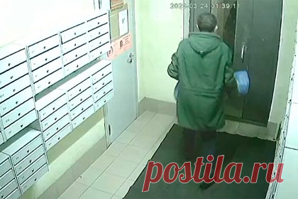 Петербуржец задушил свою собаку ремнем, выбросил у подъезда и попал на видео. Житель улицы Доблести в Санкт-Петербурге задушил ремнем свою собаку и выбросил труп на улицу возле подъезда. По словам волонтеров, они собрали всю информацию о произошедшем и собираются настаивать на возбуждении уголовного дело в отношении хозяина пса, личность которого уже установлена.