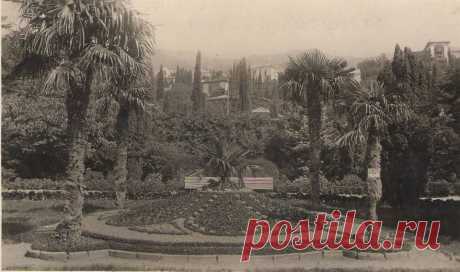 Олька Карлова - КРЫМ. СИМЕИЗ. ПАРК 1950 г.