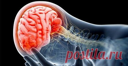 5 самых больших привычек, вызывающих повреждения мозга, о которых вы должны избегать