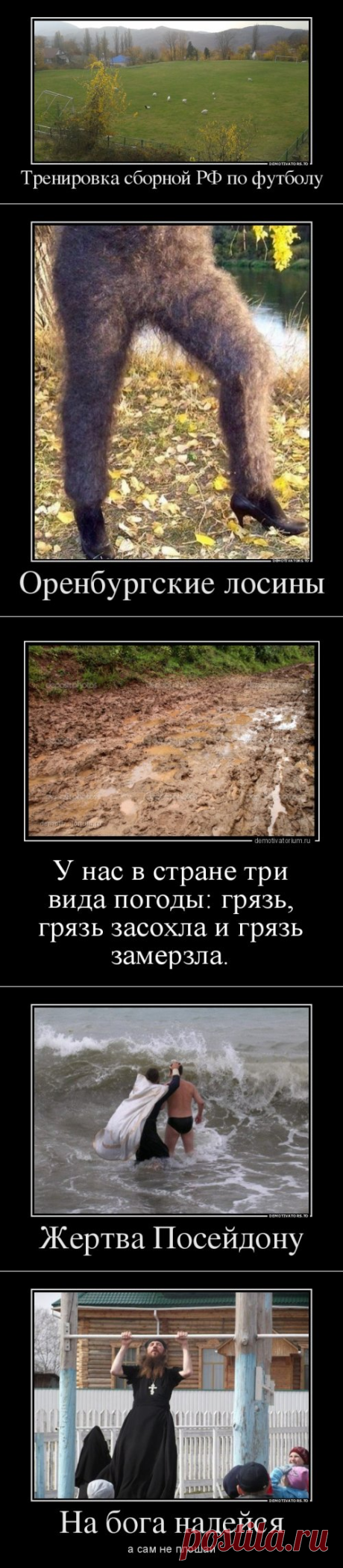 Свежие демотиваторы для настроения (12 шт)