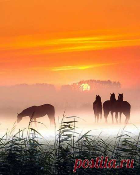 wonders of the world