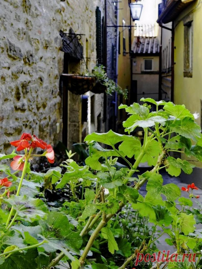 Италия. Тоскана. Cortona