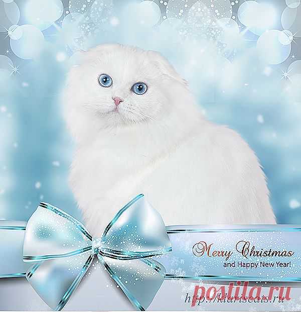 Яна в роли Снегурочки