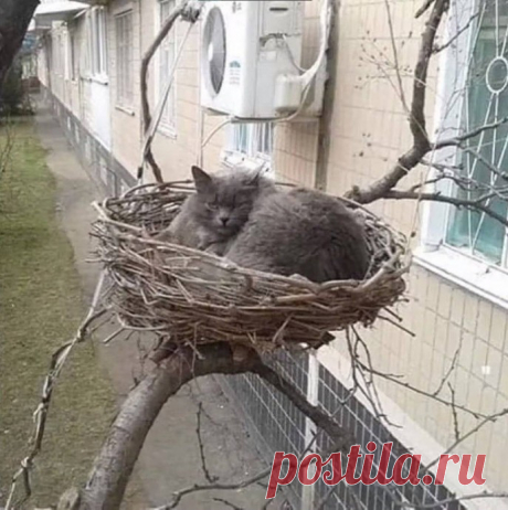 Неожиданные находки