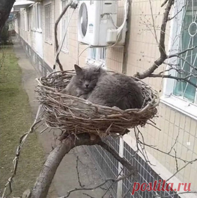Неожиданные находки