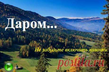 Даром флешка