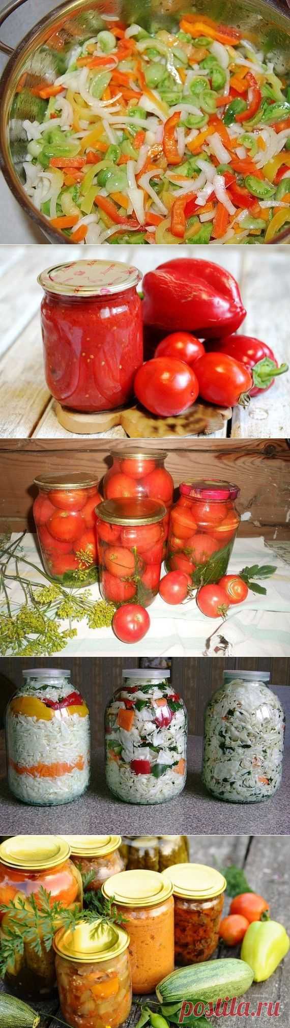 ОЧЕНЬ МНОГО ВКУСНЫХ ЗАГОТОВОК НА ЗИМУ!СОХРАНЯЙТЕ!