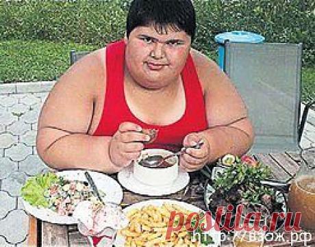 МЕНЮ ДЛЯ ТУЧНЫХ ЛЮДЕЙ | Вестник ЗОЖ