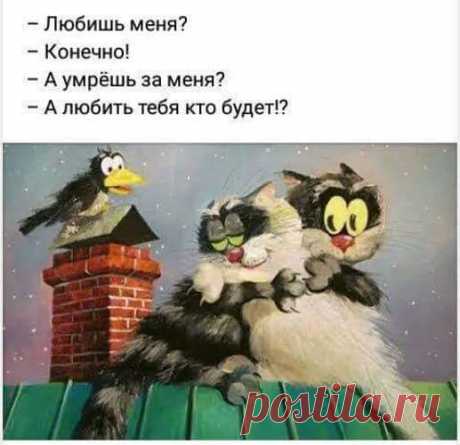 Пpиходит мужик в аптеку.— Мне пожалуйста книгу жалоб...
