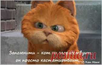 Блог Кота Моти.
Сие людишки ниблагодарныя... засунули красножопыя макаки Россию в подчинение Западу , обложыли долгам, разорвали территории , раздали , ограбили людеф...Потом всё сие восстанови, военную мощ с нуля создай , долги комуняцкие вирни всяму миру , потом вытащи всех из нищеты , когда по помойкам старики шаталися ...Потом начни возвращать суверинитет, вирни яво, потом начни войну за месту под сонцам, выиграй ея , бис 