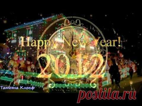 Новогоднее желание -Шиншиллы