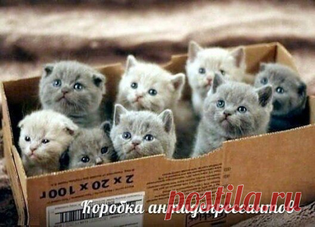 Мой Мир@Mail.Ru