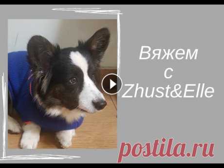 Свитер для КОРГИ спицами Свитер с капюшоном для собак средних и крупных пород спицами, расчет реглана, правильная посадка на собаку...