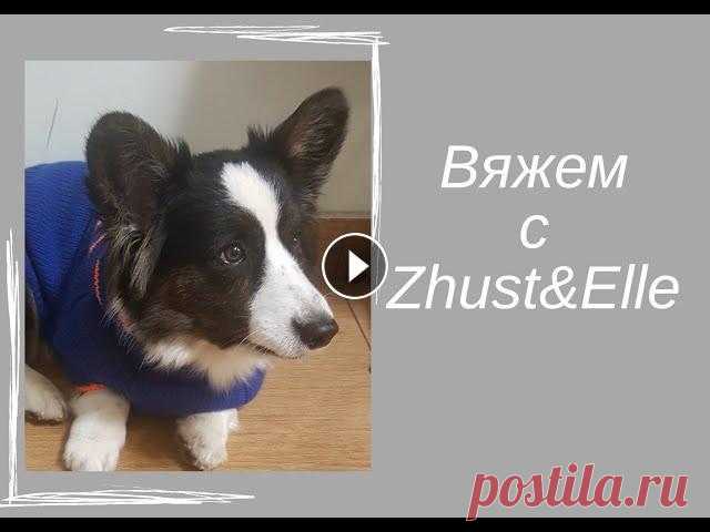 Свитер для КОРГИ спицами Свитер с капюшоном для собак средних и крупных пород спицами, расчет реглана, правильная посадка на собаку...