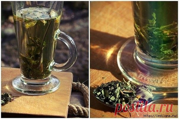 МАСТОПАТИЯ БОИТСЯ ВАЛЕРИАНЫ И ЗВЕРОБОЯ...