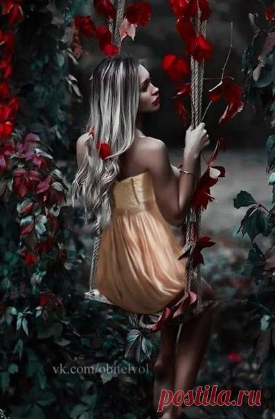 ㅤㅤЕсли ночь унесла много грез, много слез,
ㅤㅤОкружусь я тогда горькой сладостью роз!

~ Афанасий Фет
#обитель_розы #обитель_зеленое #обитель_красное #обитель_природа