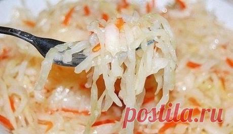 Капусточка-7 лучших рецептов.