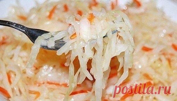 Капусточка-7 лучших рецептов.