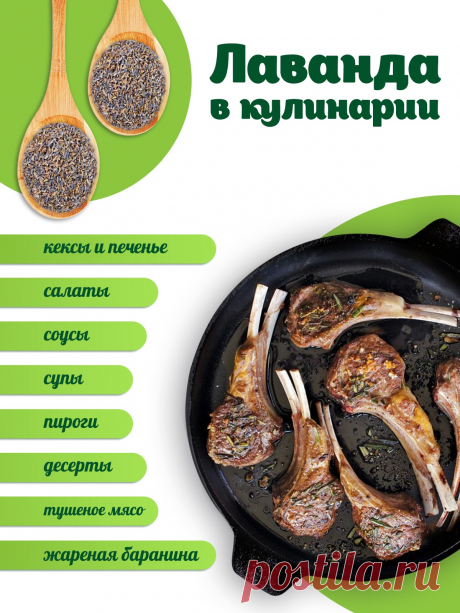 Лаванда в кулинарии