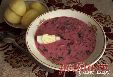 Холодный литовский борщ: Группа Собираем урожай: хвастики, рецепты, заготовки