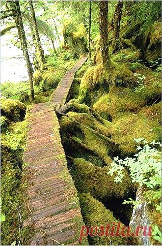 Ally Warner приколол(а) это к доске Oh the Places You'll Go <3 | Pint…