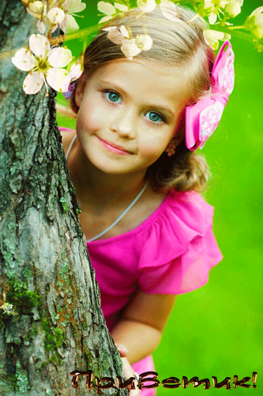 Живые фотографии – Google+