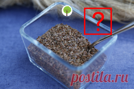 Как семенами льна лечат заболевания ЖКТ. | Здоровье и Долголетие | Яндекс Дзен