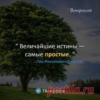 7Вопросов “ Величайшие истины — самые простые. “ © Лев Николаевич Толстой