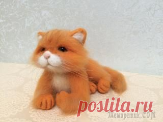Рыжая-рыжая кошка