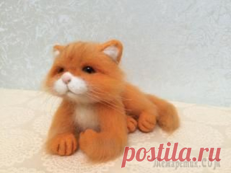 Рыжая-рыжая кошка