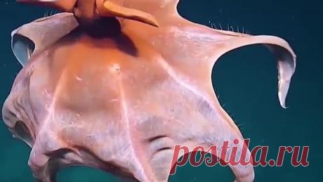 upload_254071902_file