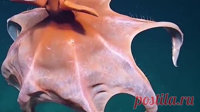 upload_254071902_file