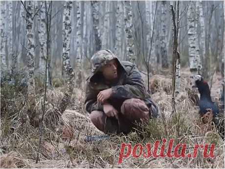 (83) Одноклассники