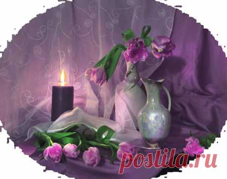 Натюрморты в png для творчества..