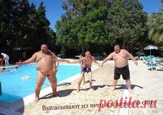 ЖМИ  КЛАСС - И  ДРУЗЬЯ  ТОЖЕ  УВИДЯТ  ЭТИ  ПРИКОЛЬНЫЕ ФОТО,  И  ТОЖЕ  УЛЫБНУТСЯ !!!   :-)