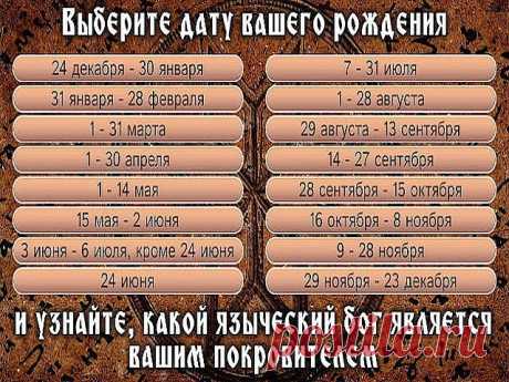 (75) Одноклассники
