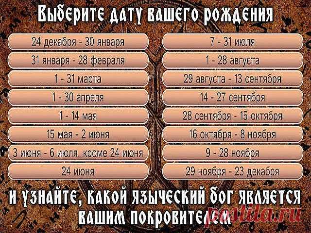 (75) Одноклассники