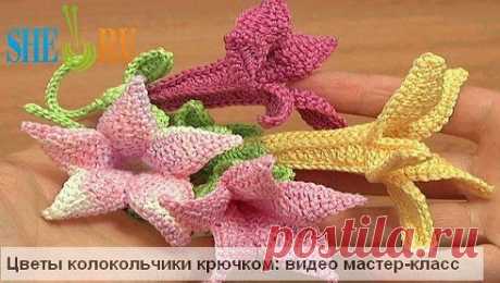 (56) Одноклассники