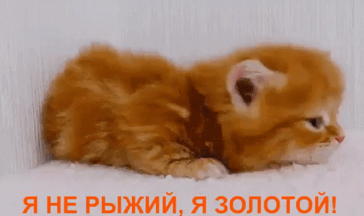 Мой Мир@Mail.Ru